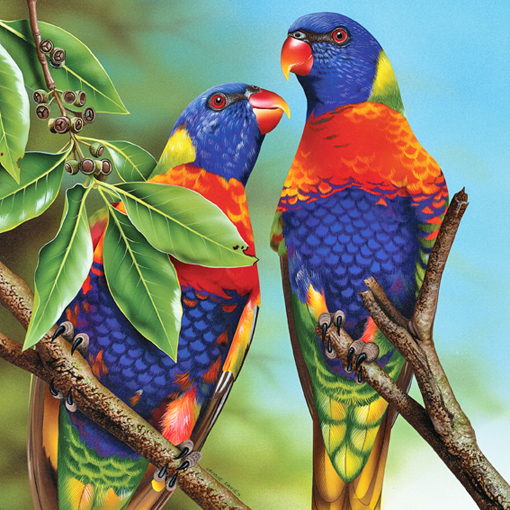 Hallmark Cards Wildlife Calendar Rainbow Lorikeets Illustration