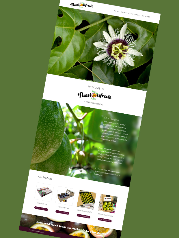 Grosafe Website Design